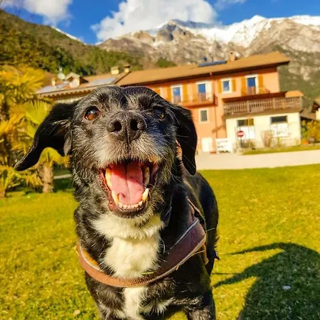 Ledro 